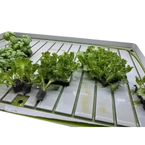 Topraksız Tarım Tohum Çimlendirme ve Klonlama Seti - Görsel 3