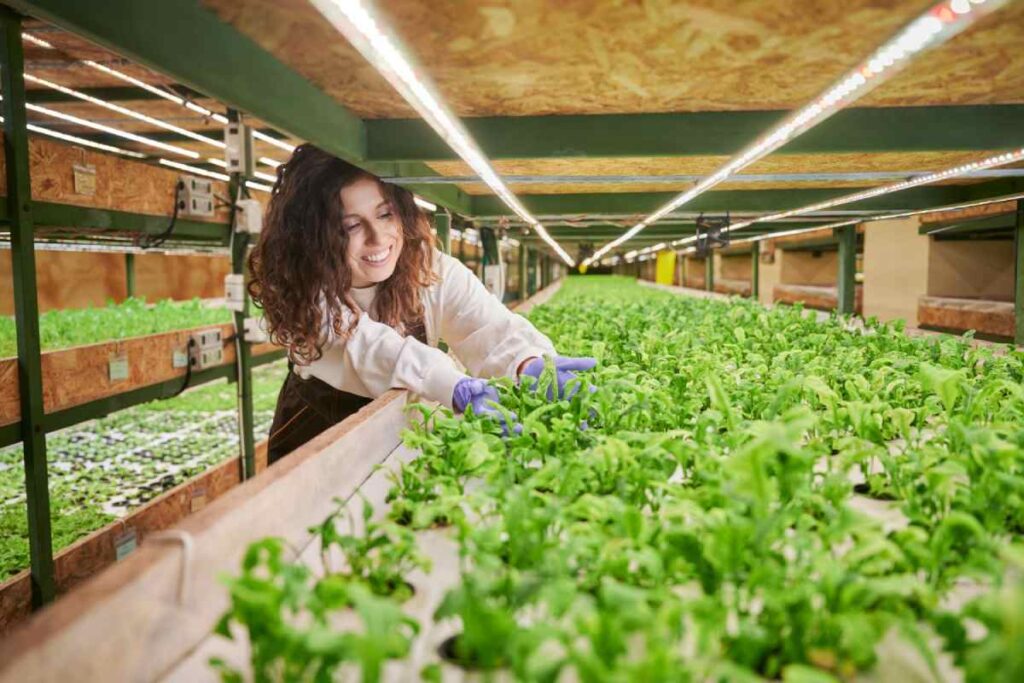 evde topraksız tarım