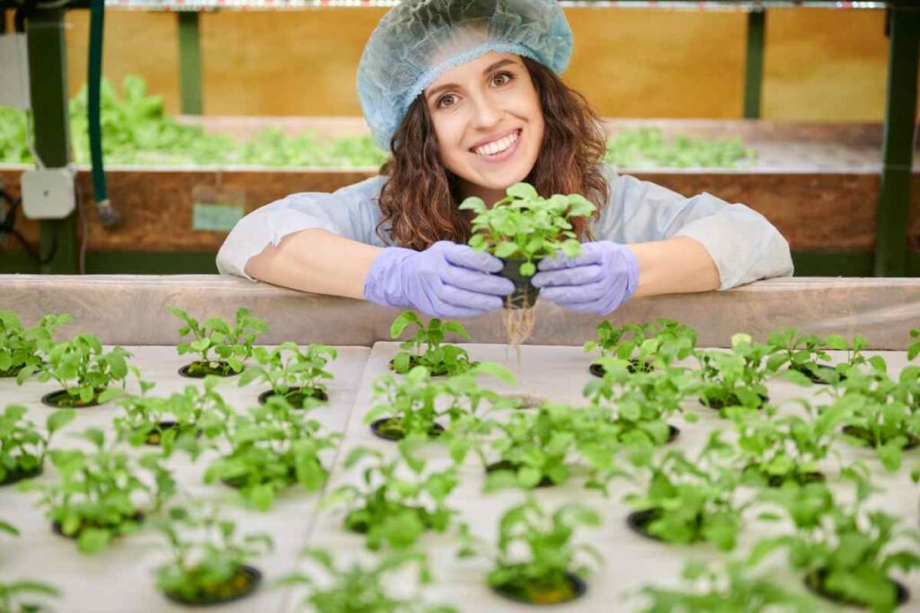 evde topraksız tarım