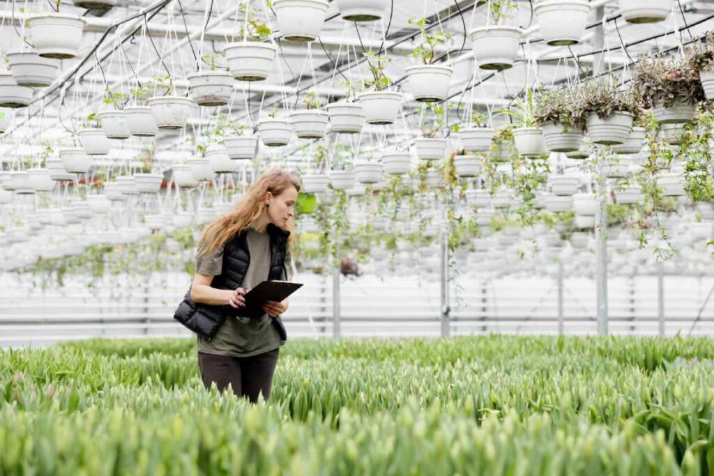 hobi tarım için uygun bitkiler