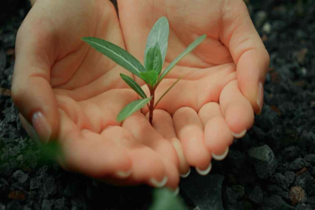 Hobi Tarım Stresi Azaltır mı? Bilimsel Gerçekler