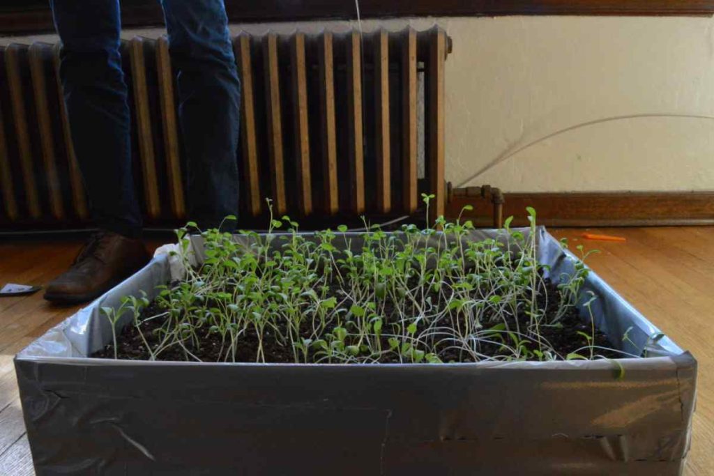 Topraksız Tarımda En Sık Yapılan Hatalar