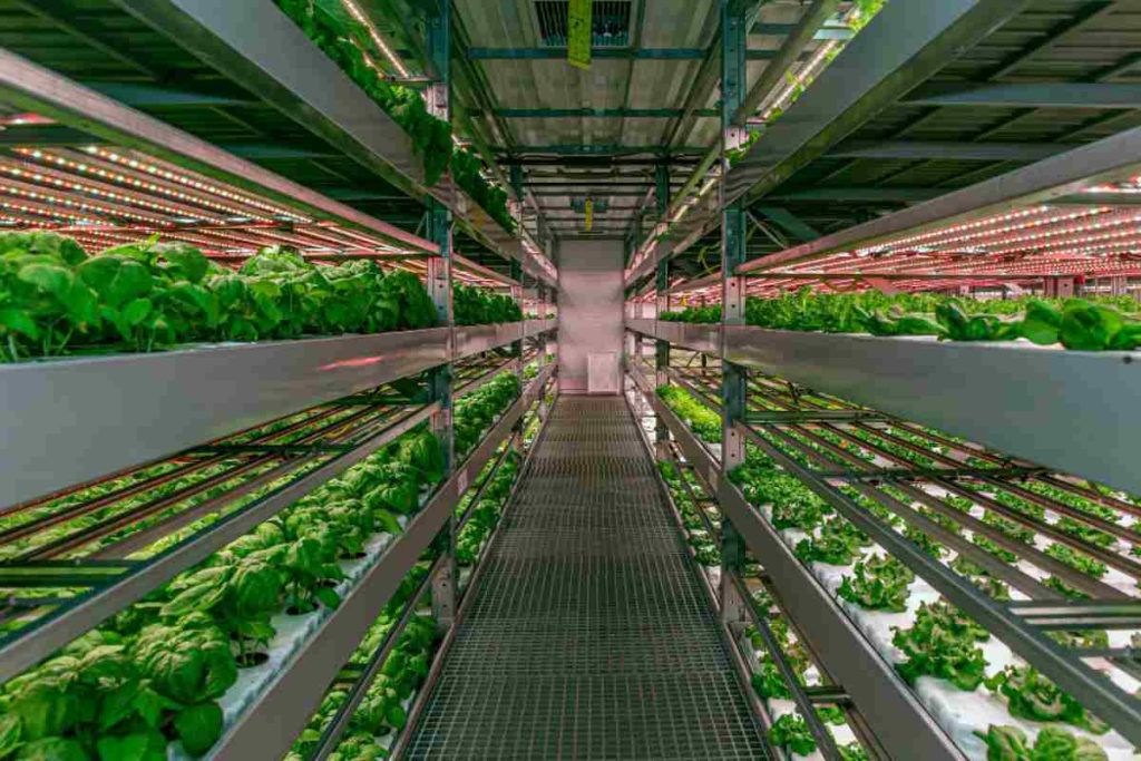 Topraksız Tarımda Su ve Enerji Tasarrufu